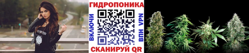 Бошки марихуана Amnesia это формула Новозыбков хочу hydra как войти
